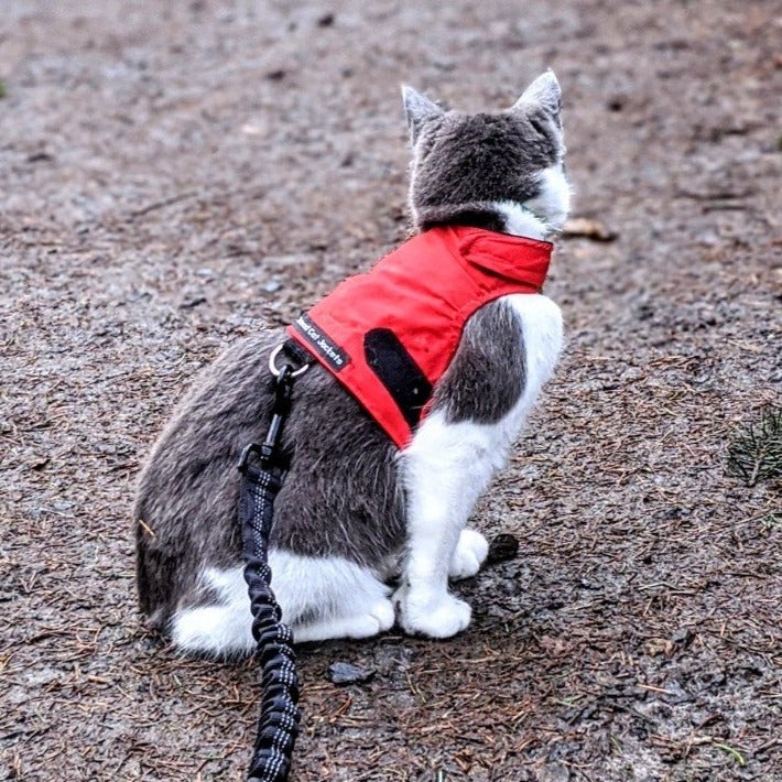 "Mynwood Walking Jacket" - Cat Harness
