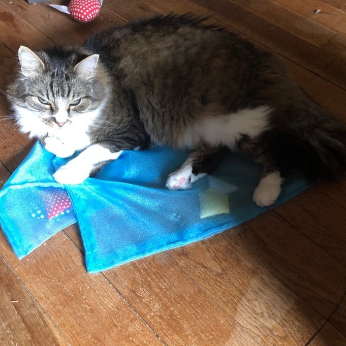 "Gone Fishing" - Catnip & Silvervine Play Mat [Ships To You]