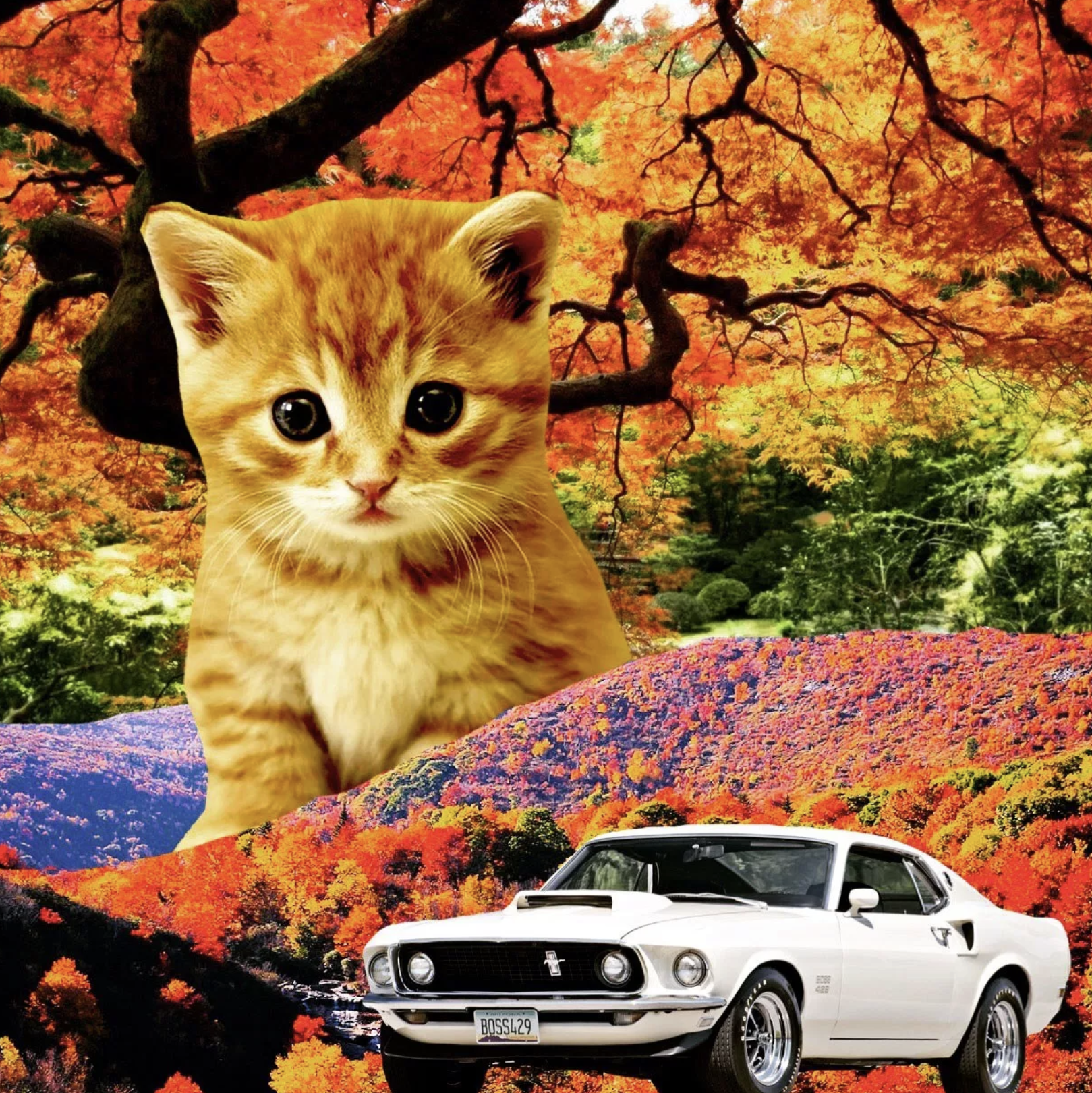 "Autumn" - Cats and Cars (print)