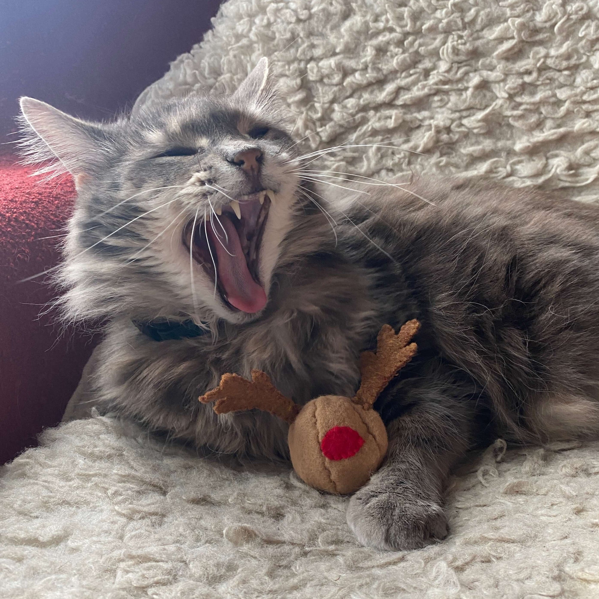 "Rudolph the Red-Nosed Reindeer" - Cat Toy