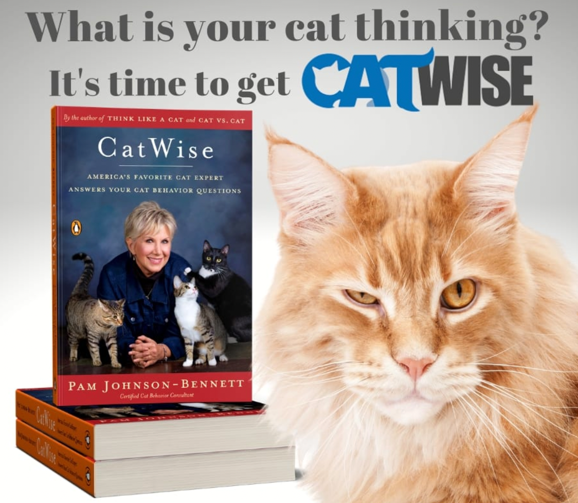 "CatWise" - book